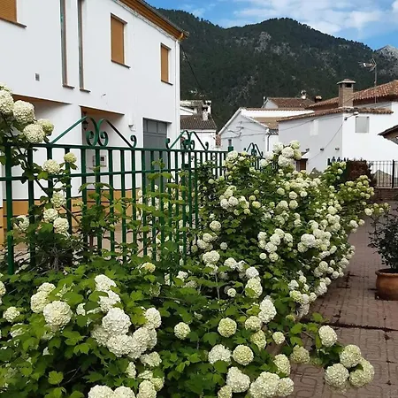 Albergue Ruta Rio Borosa Coto Rios Exterior photo