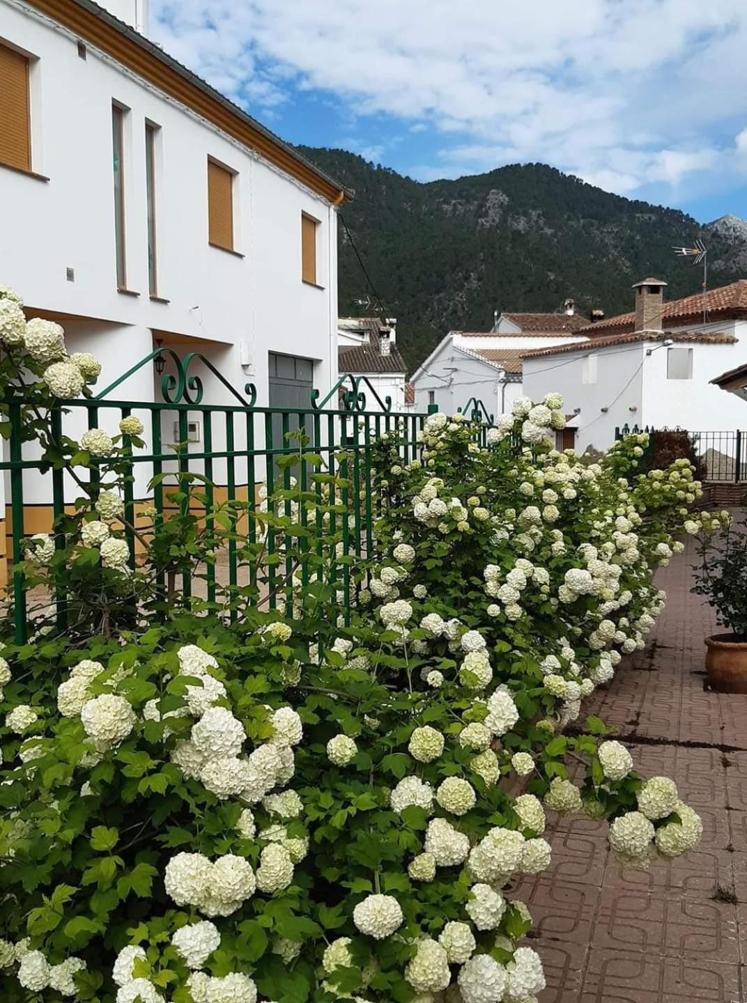 Holiday home Albergue Ruta Rio Borosa *